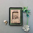 Robin plant pot companions with 'Lily Faith' branding on a grey background