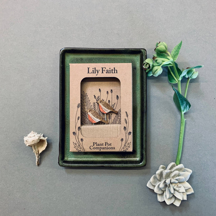 Robin plant pot companions with 'Lily Faith' branding on a grey background