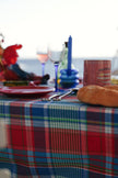 Table setting with red & blue plaid tablecloth, bread, and wine glasses outdoors.