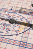 Fish-themed embroidery on a red, blue and white checkered tablecloth 