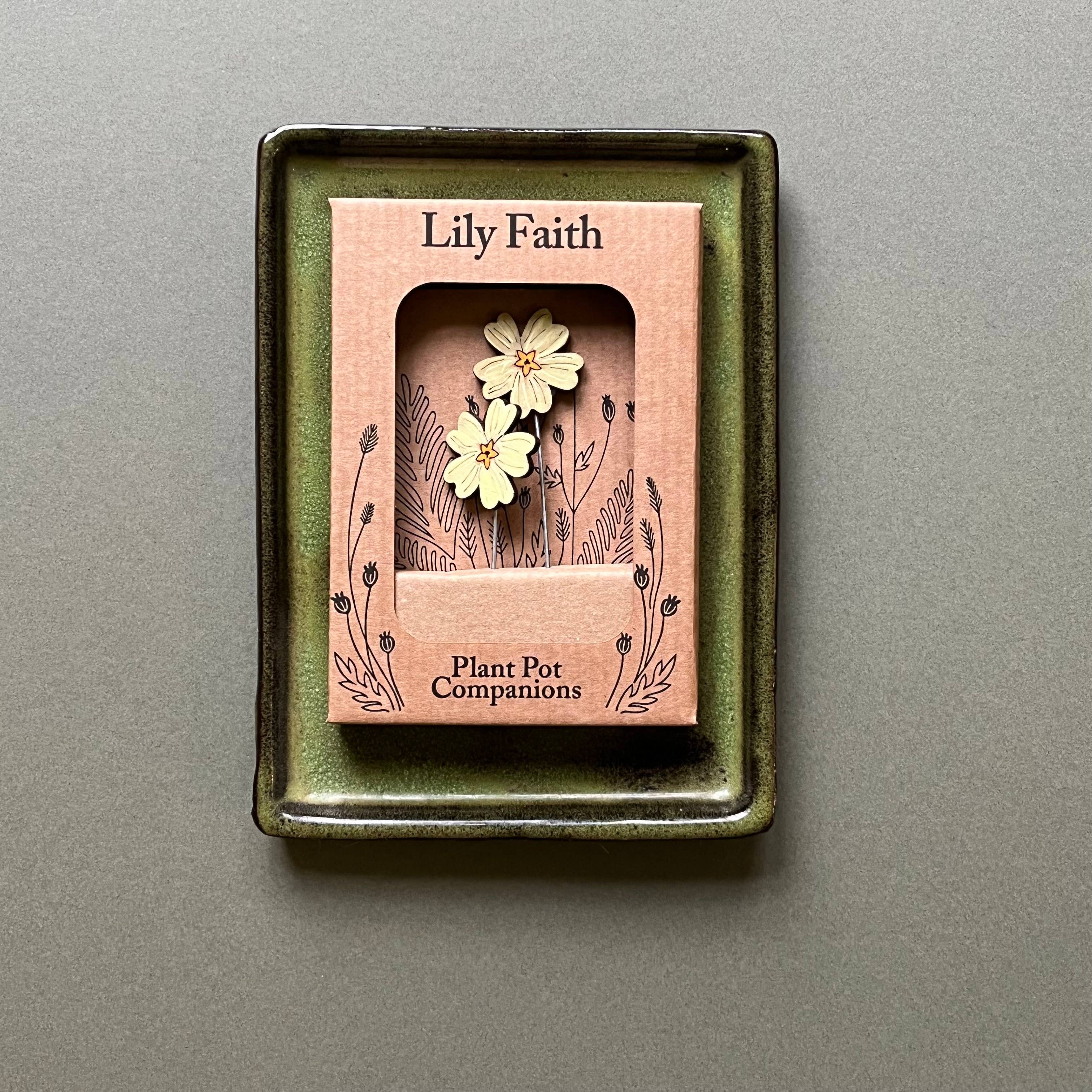 Decorative plant pot companion with floral primrose design in a box labeled 'Lily Faith' on a grey background.