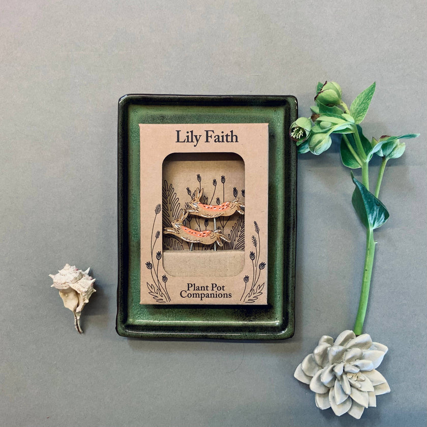 Framed artwork with 'Lily Faith' branding on a gray background with decorative plants.