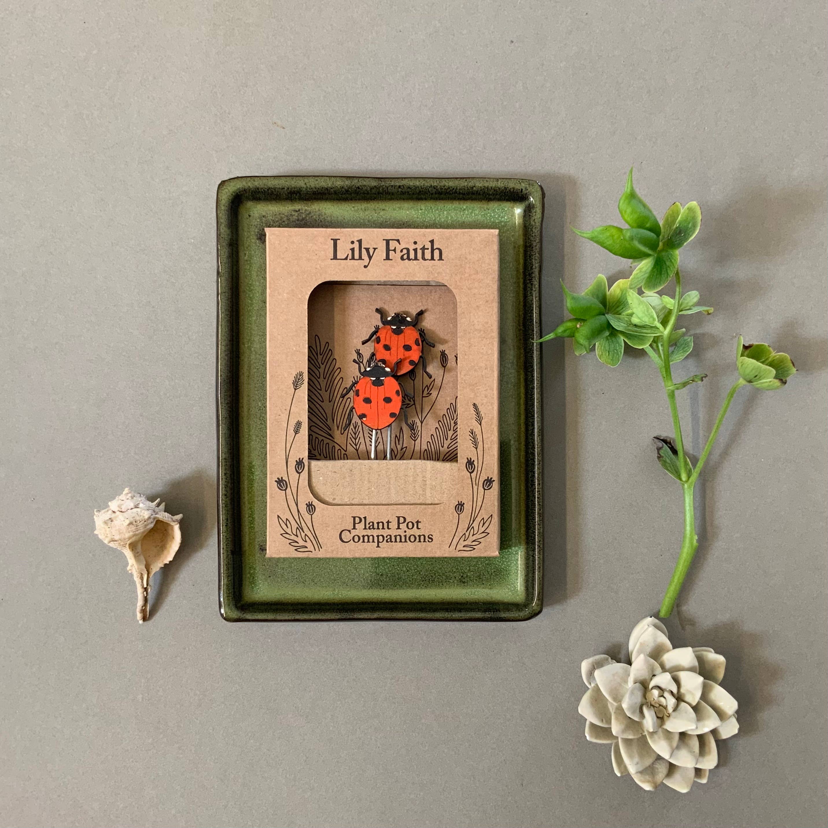 Lily Faith plant pot companion with a ladybug design in a green box on a grey background.